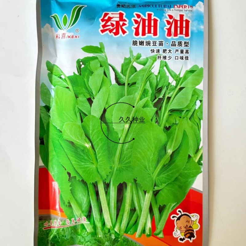 科喜绿油油嫩豌豆尖种子四季易种盆栽阳台很好吃蔬菜种子