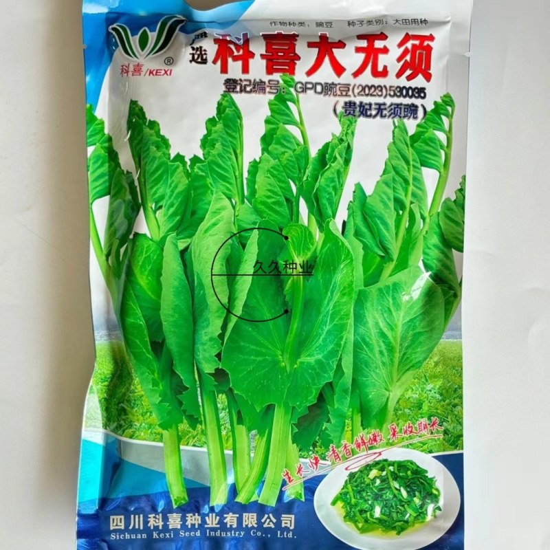 科喜大无须嫩豌豆苗种子豌豆种子绿油油豌豆芽苗菜种子