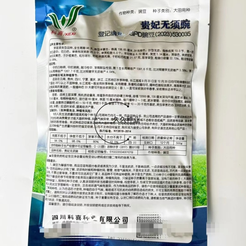 科喜大无须嫩豌豆苗种子豌豆种子绿油油豌豆芽苗菜种子