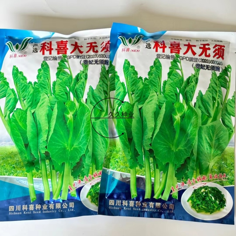 科喜大无须嫩豌豆苗种子豌豆种子绿油油豌豆芽苗菜种子