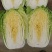 黑山白菜产地