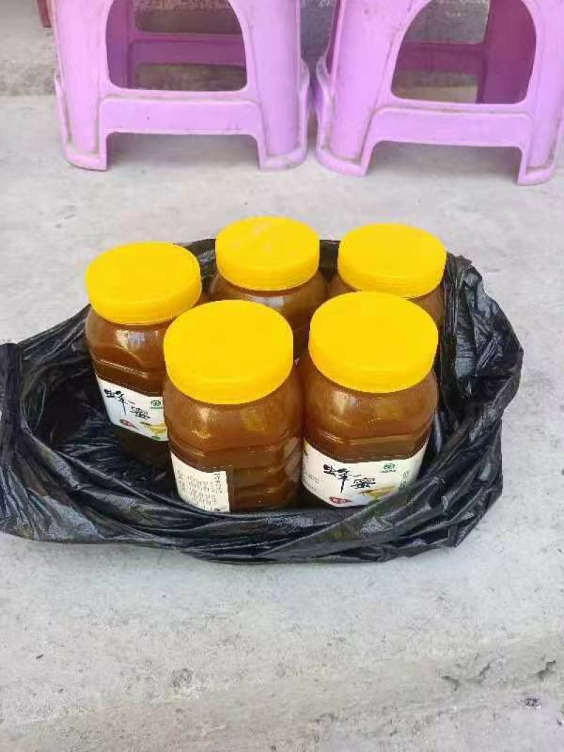 甘肃陇南野生蜂蜜，新鲜采摘，健康美味，寻全国采购商
