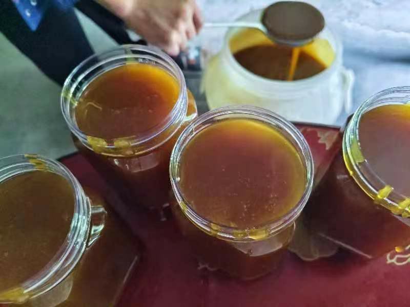甘肃陇南野生蜂蜜，新鲜采摘，健康美味，寻全国采购商