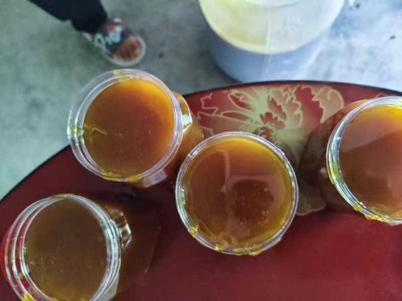 甘肃陇南野生蜂蜜，新鲜采摘，健康美味，寻全国采购商