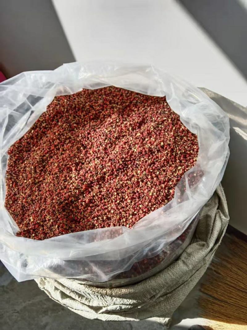甘肃陇南武都区大红袍花椒一手货源批发品质保证价格美丽