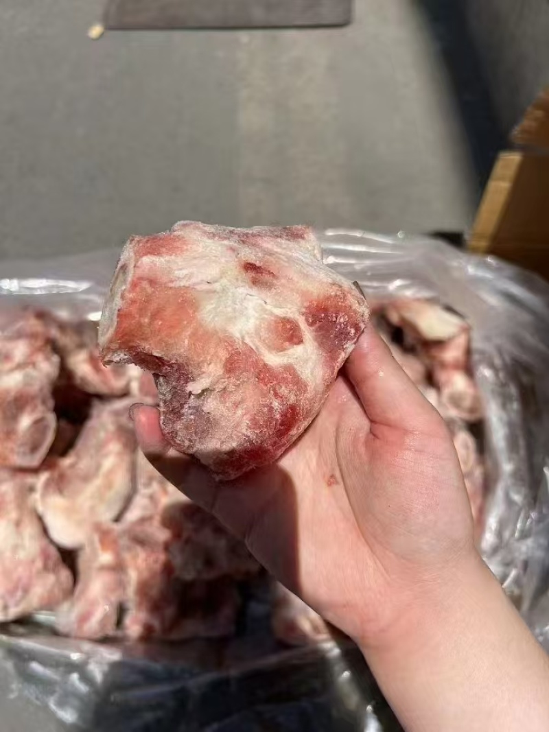 513前腿骨