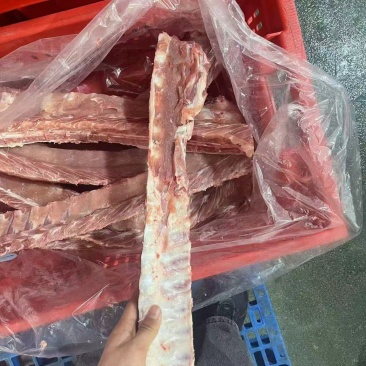 郯润国产龙骨