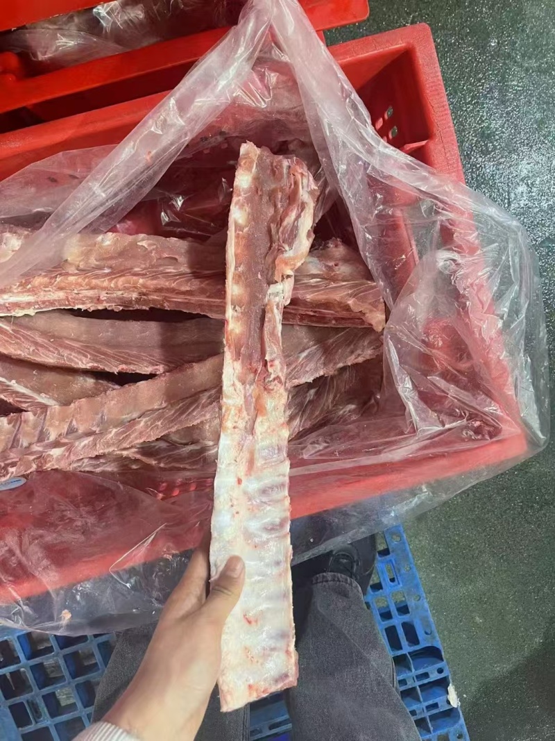 郯润国产龙骨