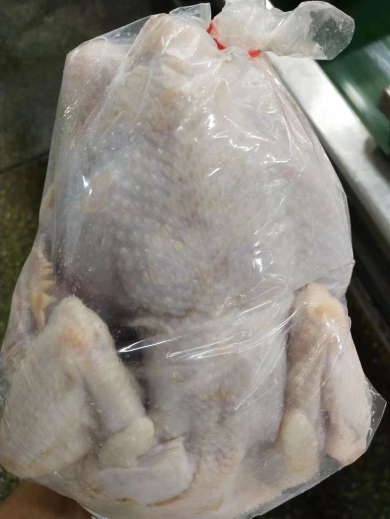 一级三黄鸡