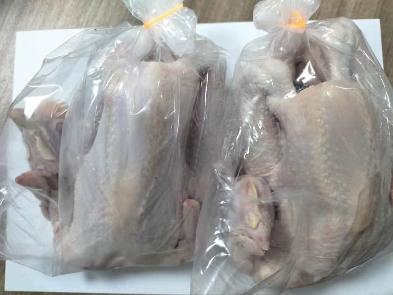 一级三黄鸡