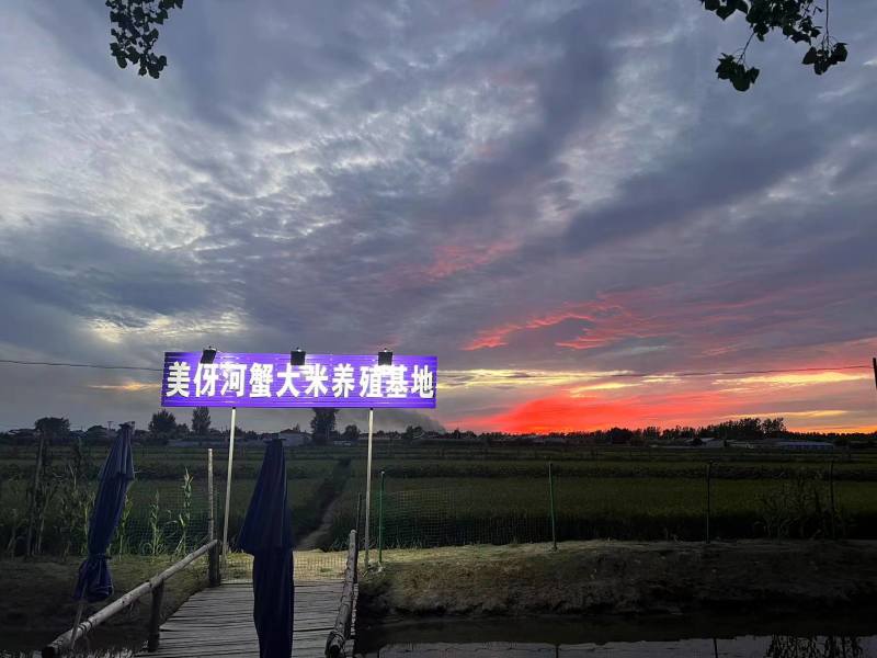 河蟹大量上市品质好价格合理欢迎来电咨询