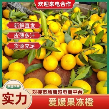 【实力推荐】爱媛果冻橙一手货源量大从优质量保证欢迎咨询