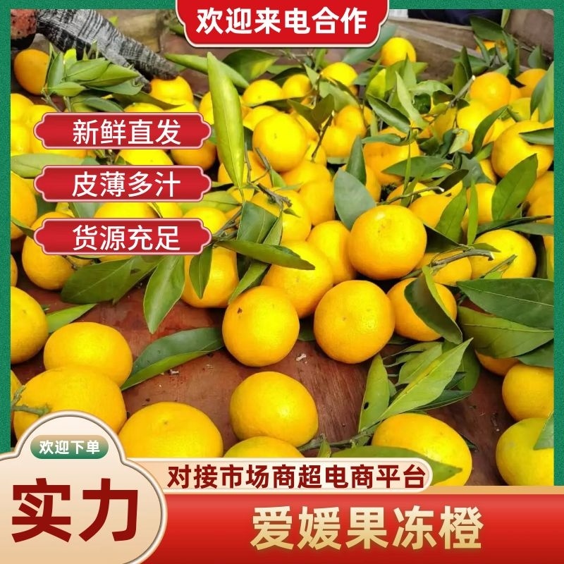 【实力推荐】爱媛果冻橙一手货源量大从优质量保证欢迎咨询
