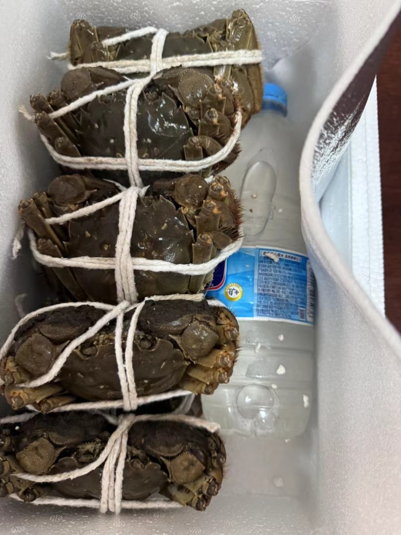 盘锦河蟹可视频看货品质好，味道棒，欢迎来电咨询