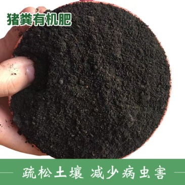 河北厂家直发有机肥药材底肥发酵猪粪纯猪粪
