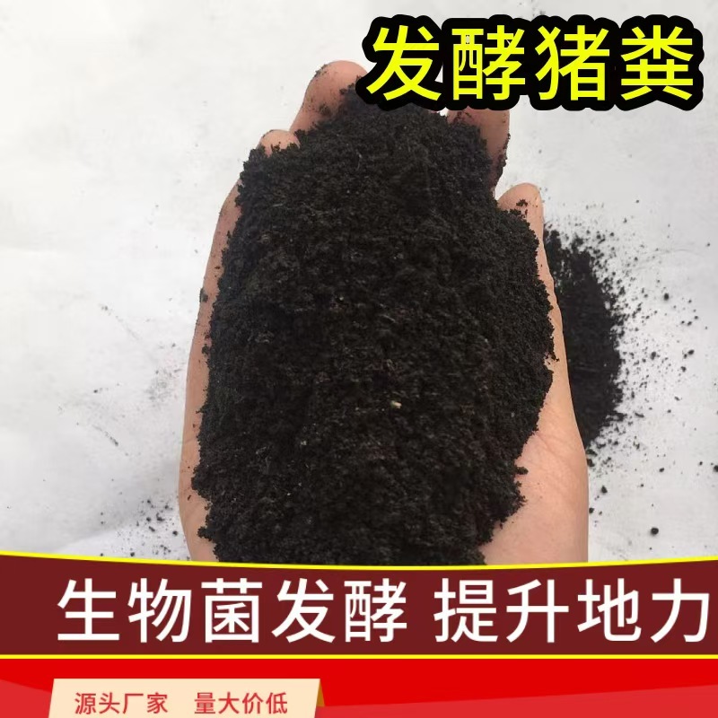 河北厂家直发有机肥药材底肥发酵猪粪纯猪粪