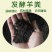 发酵羊粪粉状一袋80斤