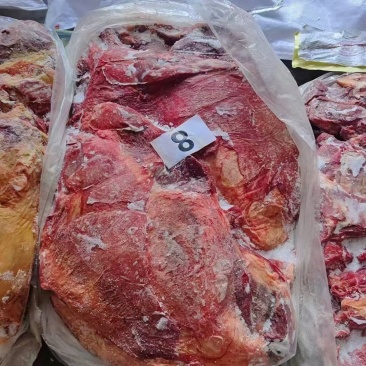 精品马前腿肉品质上乘价格优惠对接各大市场商超