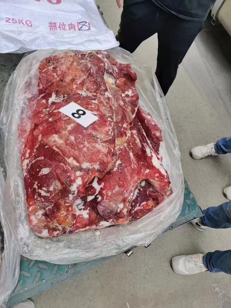 精品马前腿肉品质上乘价格优惠对接各大市场商超