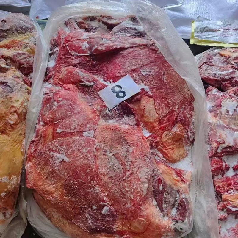 精品马前腿肉品质上乘价格优惠对接各大市场商超