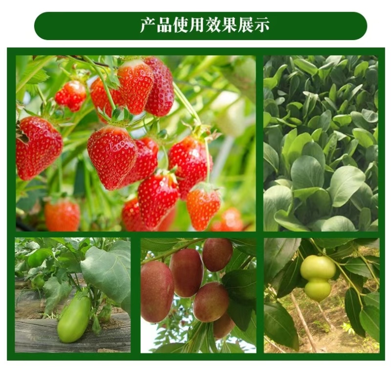 发酵鸡粪有机肥蔬菜大棚种植专用肥现货速发