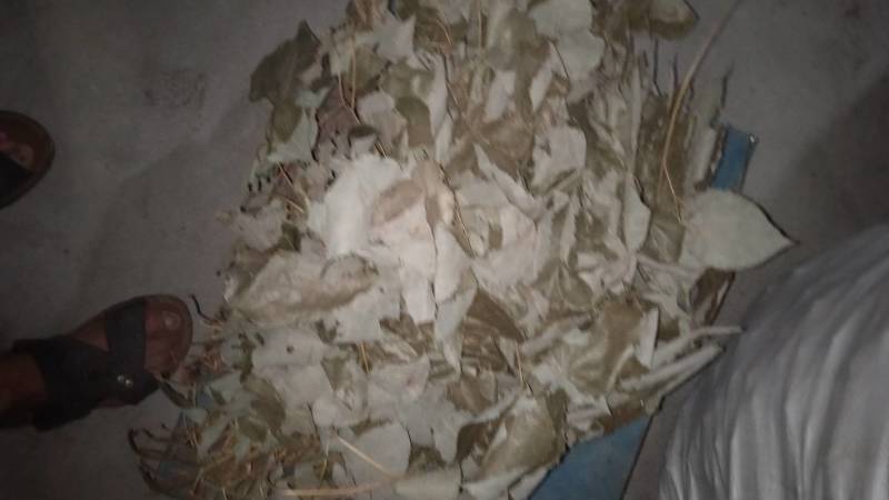 淫羊藿根