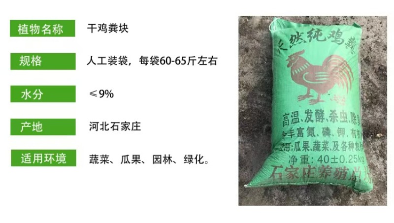 干鸡粪块人工装袋60-65斤/袋
