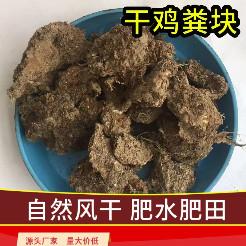 干鸡粪块人工装袋60-65斤/袋