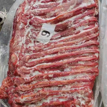精品马肋条肉厂家直供价格优惠品质保证支持视频看货