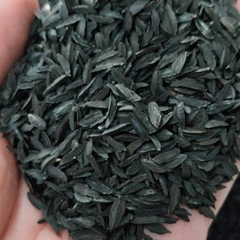 知母种子纯新货！干净无杂，发芽率95%！假一赔十