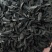 知母种子纯新货！干净无杂，发芽率95%！假一赔十