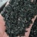 知母种子纯新货！干净无杂，发芽率95%！假一赔十