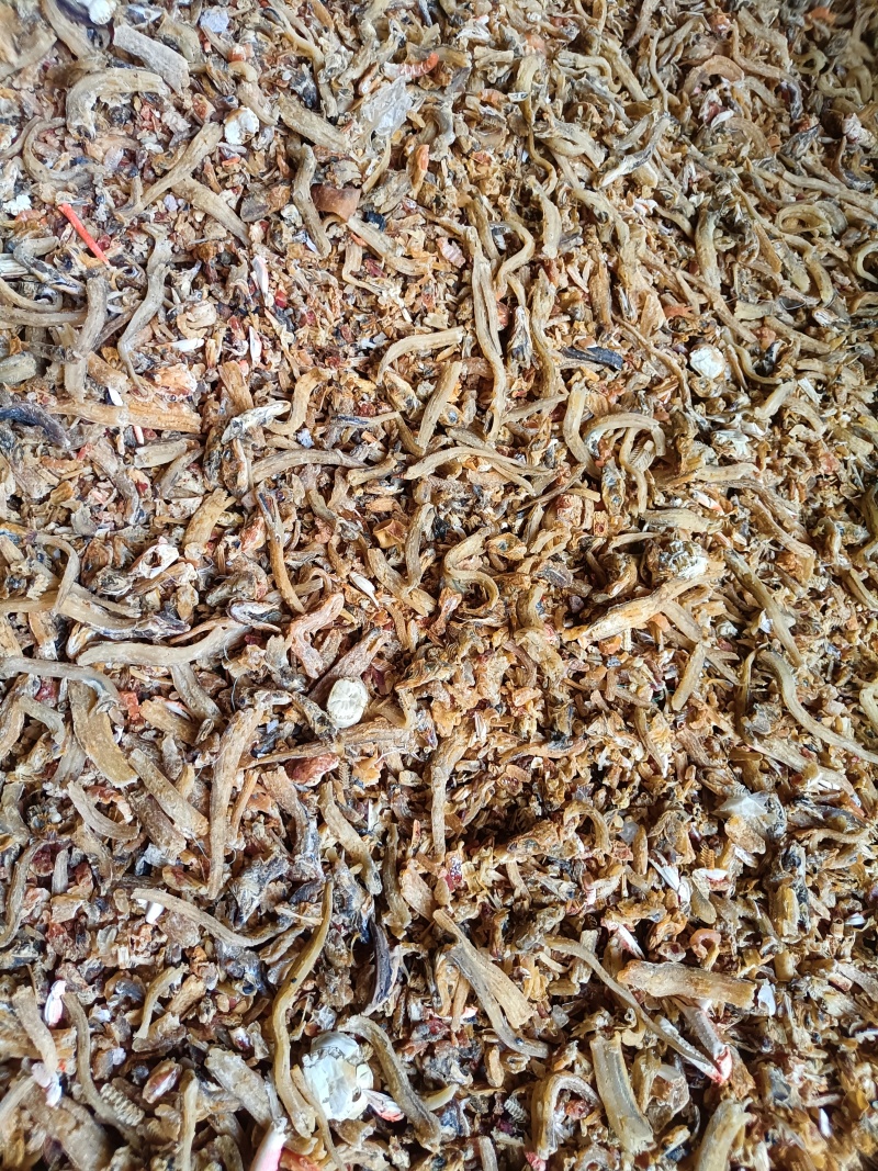 熟鱼干，新鲜晒干粒粒挑选一手货源产地直发品质保证量大从优