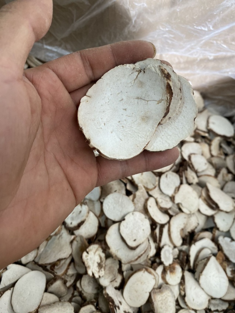 重楼供应稳定·规格多样·欢迎电话咨询·长期有货
