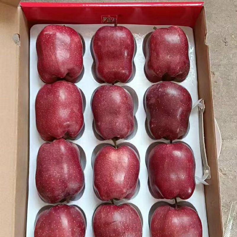 社区团购】公司福利】花牛一件发货5斤10斤装包邮
