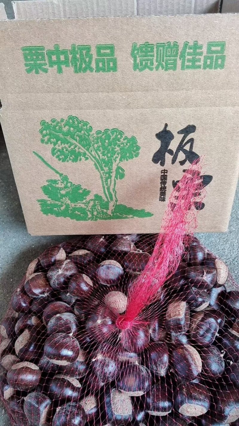 山东野生高山板栗/24年新栗子/糖炒栗子/香甜糯