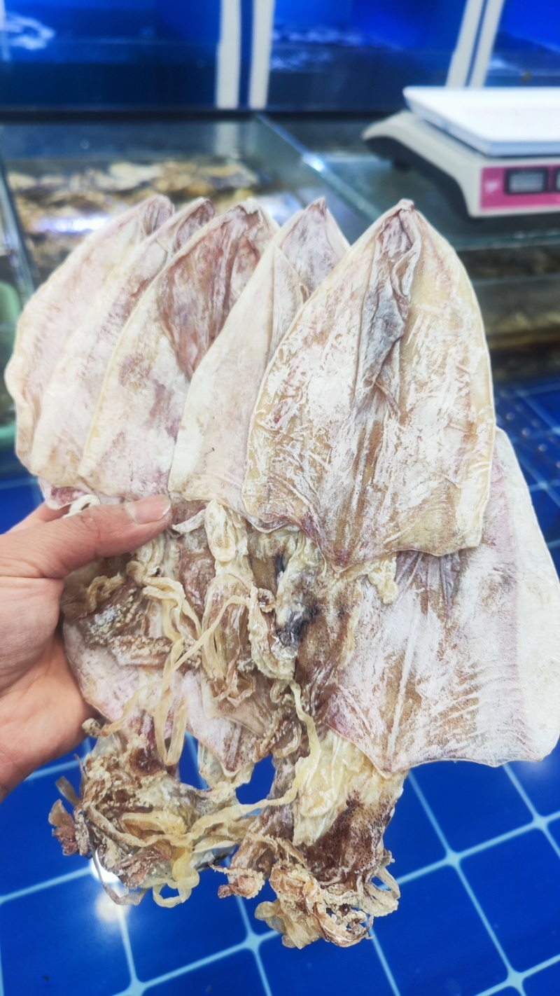 烧烤专用精品鱿鱼干
