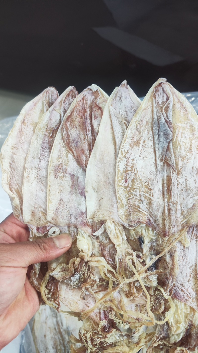 烧烤专用精品鱿鱼干