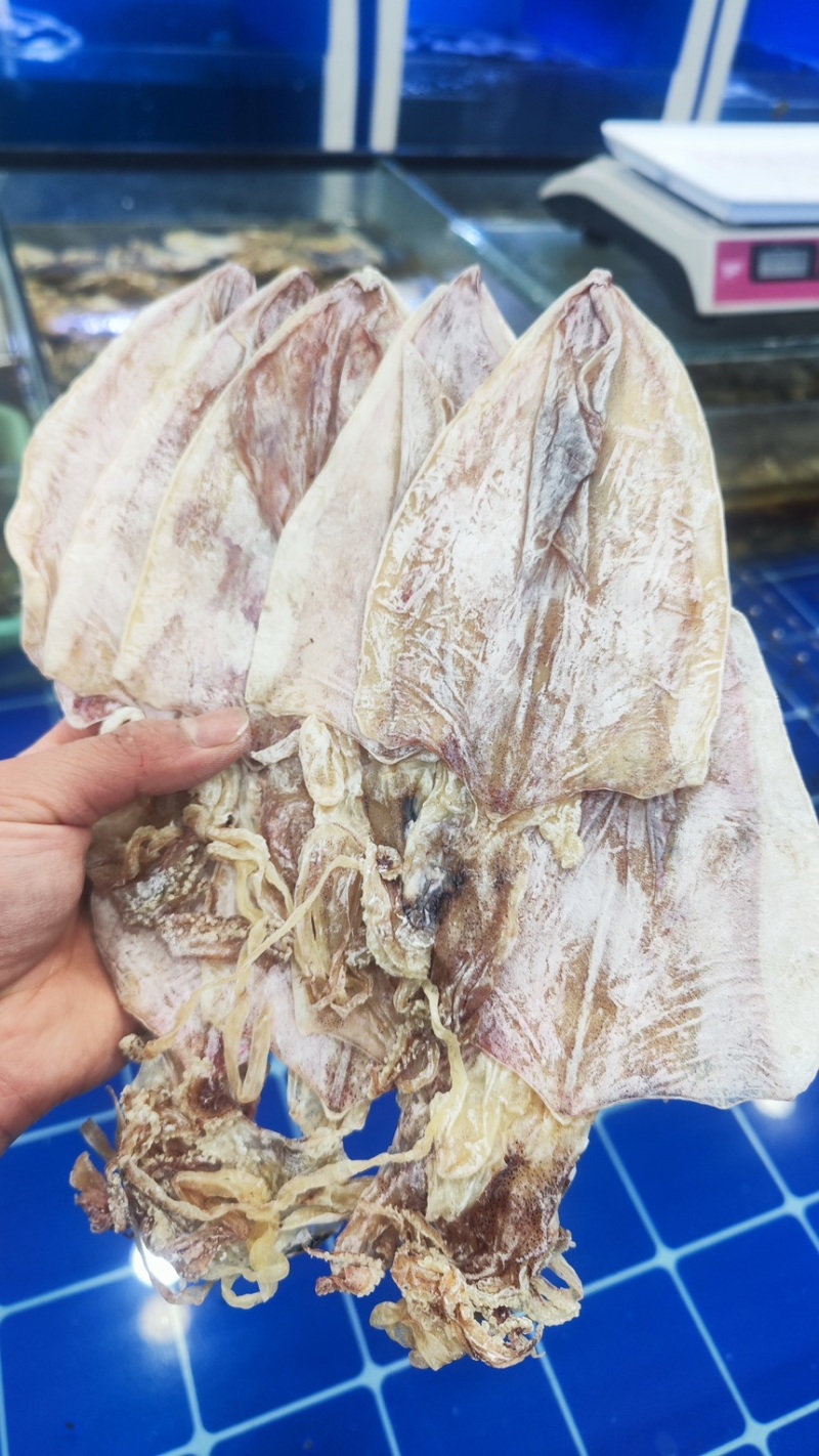 烧烤专用精品鱿鱼干