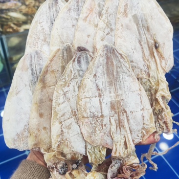 烧烤专用精品鱿鱼干