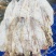 烧烤专用精品鱿鱼干