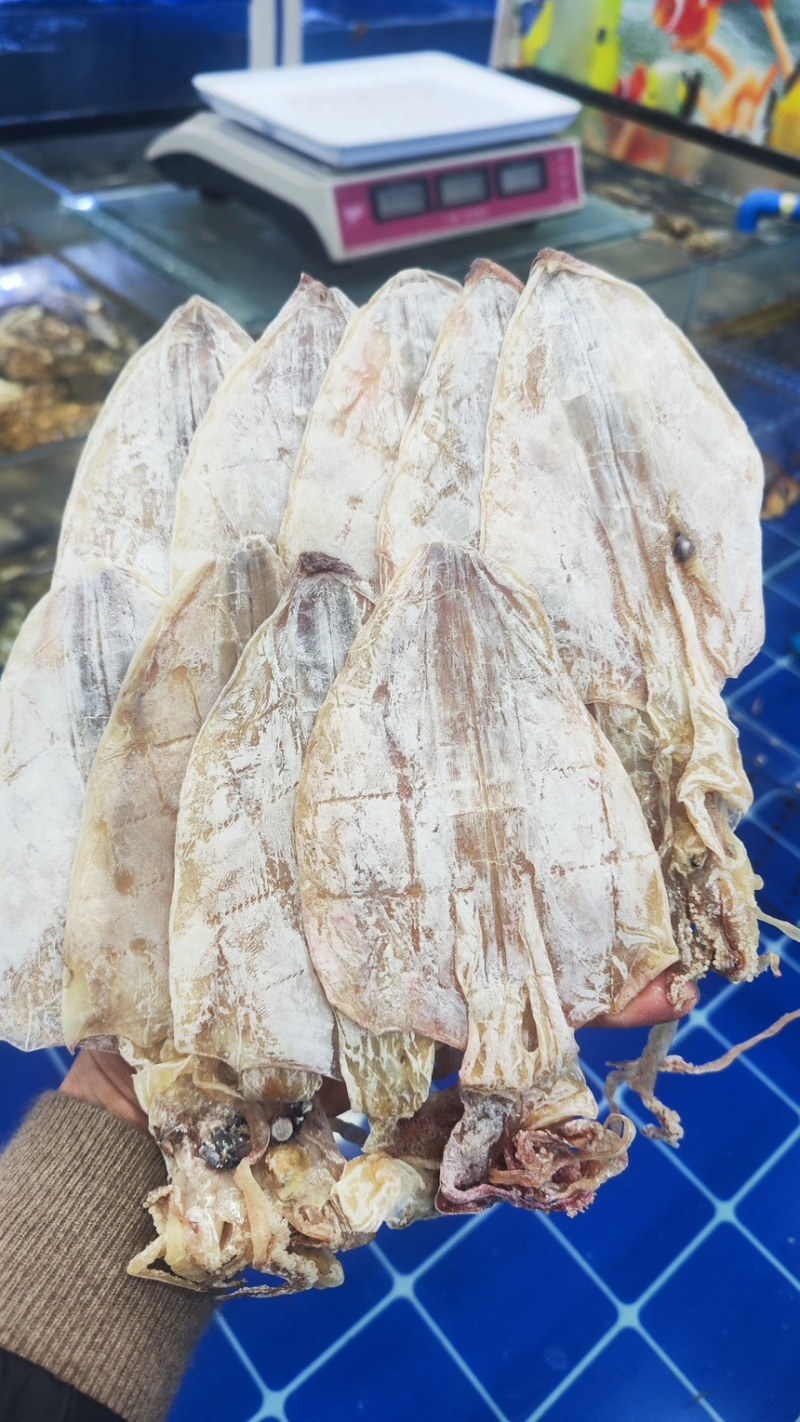 烧烤专用精品鱿鱼干
