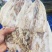烧烤专用精品鱿鱼干