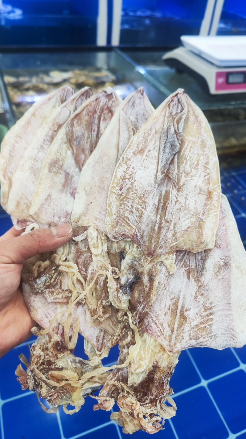 烧烤专用精品鱿鱼干