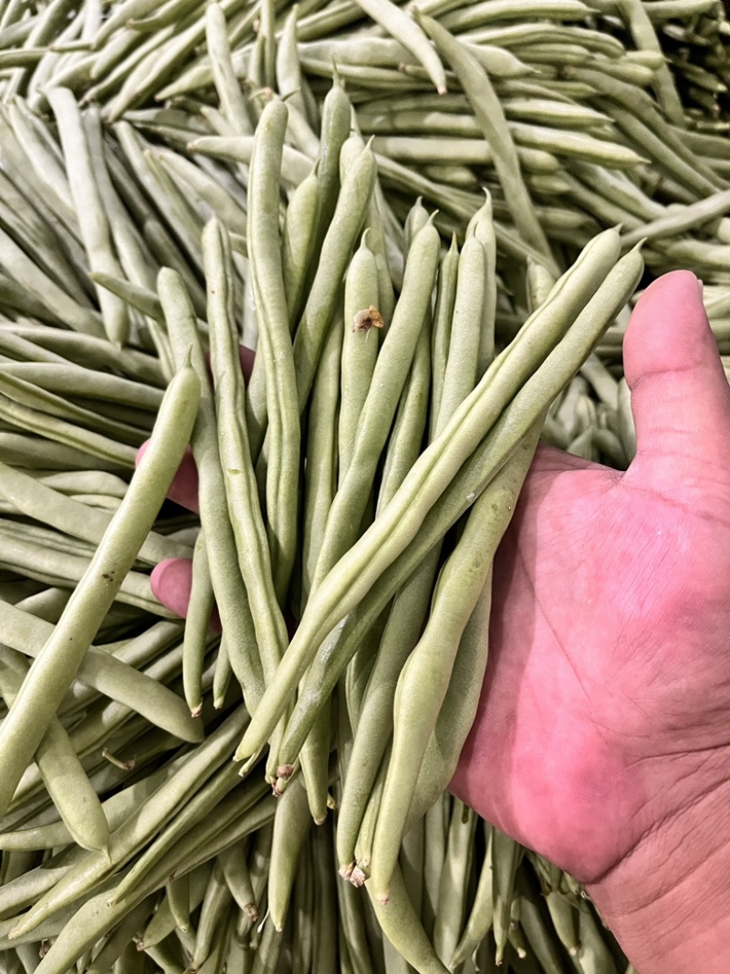 精品小金豆，物美价廉，量大从优，规格齐全，欢迎下单