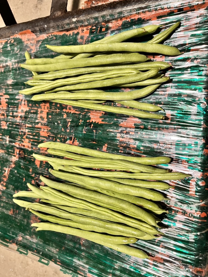 精品小金豆，物美价廉，量大从优，规格齐全，欢迎下单