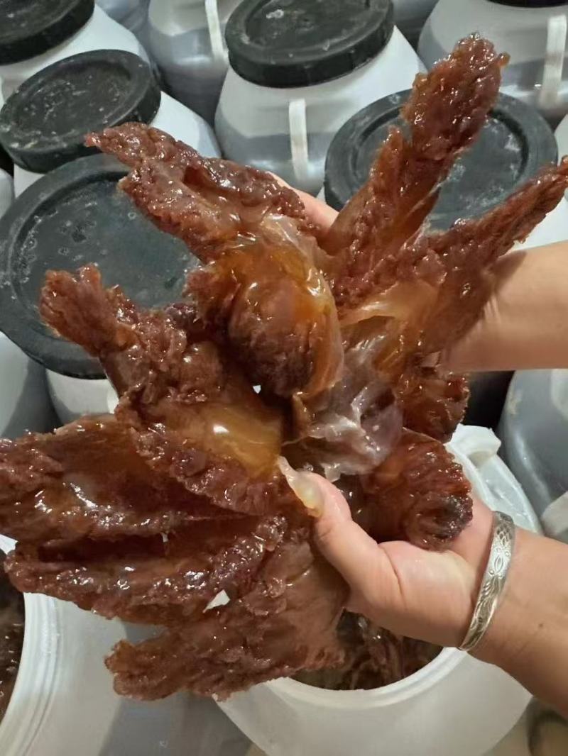 海蜇头