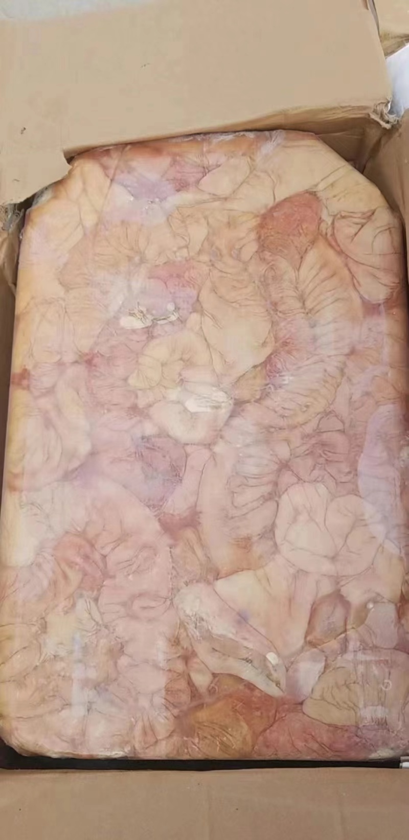 马板肠