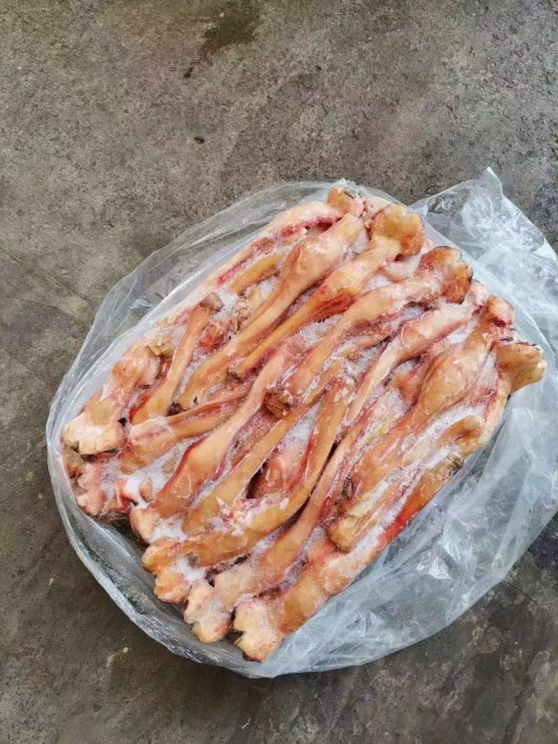 带骨马蹄筋