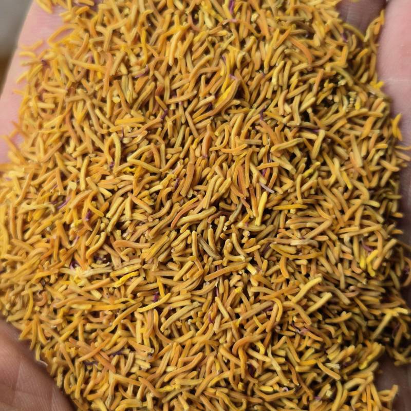 牡丹花蕊茶